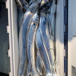 フィッシング キッタカ 釣果