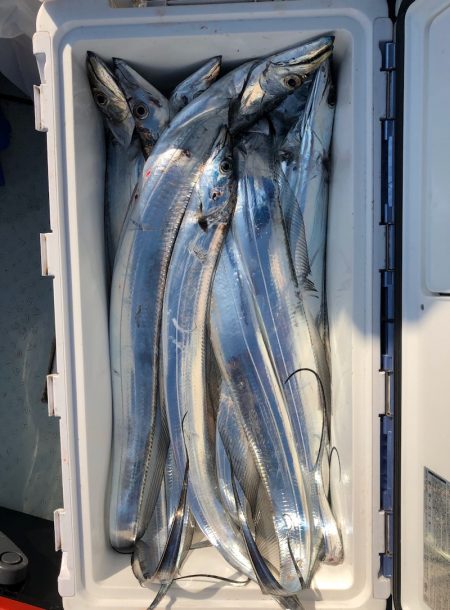 フィッシング キッタカ 釣果