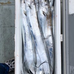 フィッシング キッタカ 釣果