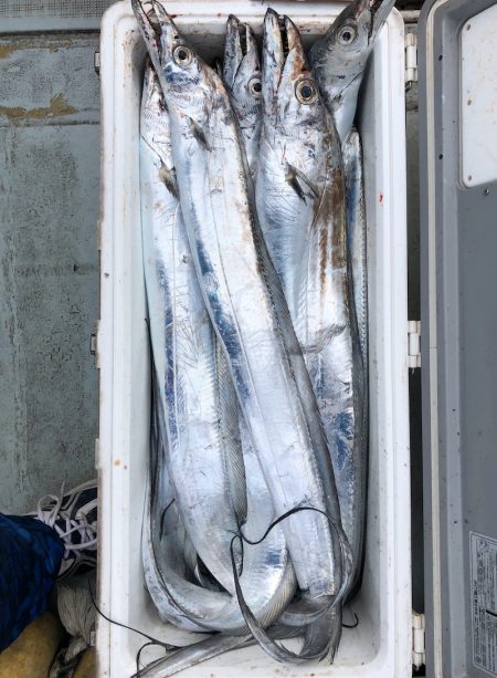 フィッシング キッタカ 釣果