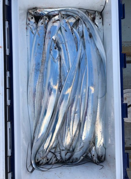 フィッシング キッタカ 釣果