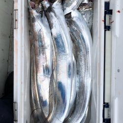 フィッシング キッタカ 釣果