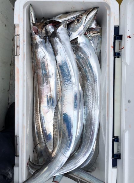 フィッシング キッタカ 釣果