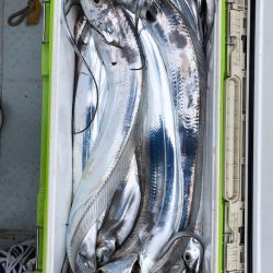 フィッシング キッタカ 釣果