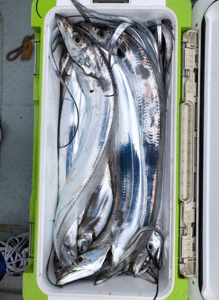 フィッシング キッタカ 釣果