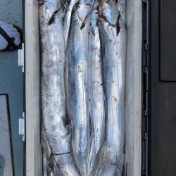 フィッシング キッタカ 釣果