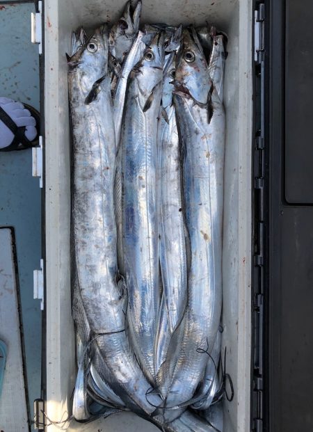 フィッシング キッタカ 釣果