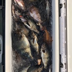 フィッシング キッタカ 釣果