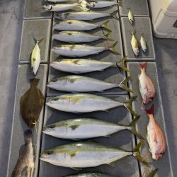 SeaRide(シーライド) 釣果