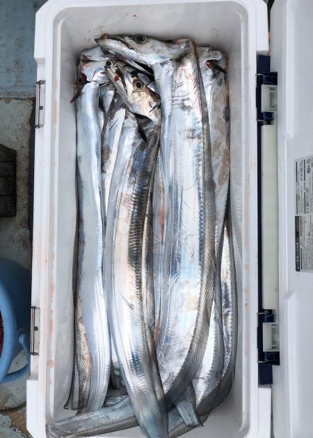 フィッシング キッタカ 釣果