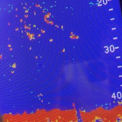 あみや渡船 JIGBOY 釣果