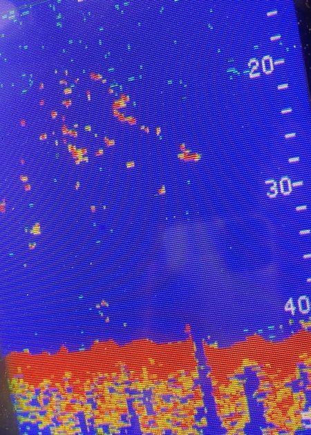 あみや渡船 JIGBOY 釣果