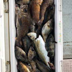 フィッシング　キッタカ 釣果