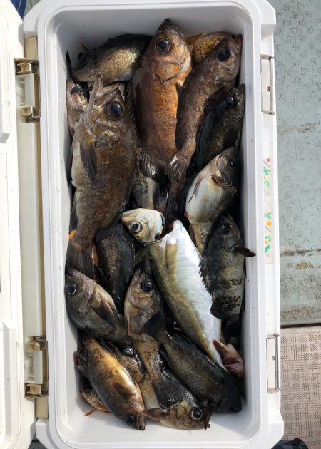 フィッシング　キッタカ 釣果