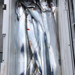 フィッシング キッタカ 釣果