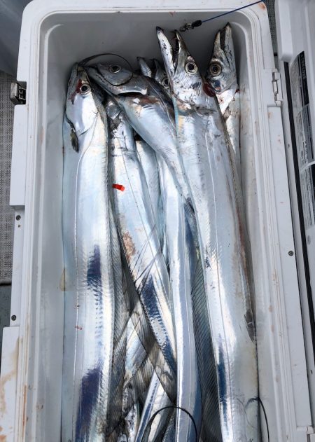 フィッシング キッタカ 釣果