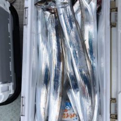 フィッシング キッタカ 釣果