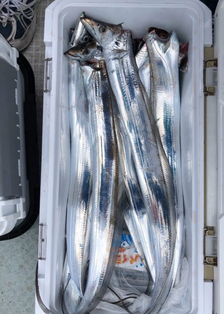 フィッシング キッタカ 釣果