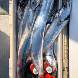 フィッシング キッタカ 釣果