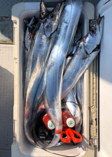 フィッシング キッタカ 釣果