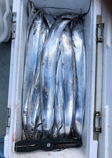 フィッシング キッタカ 釣果