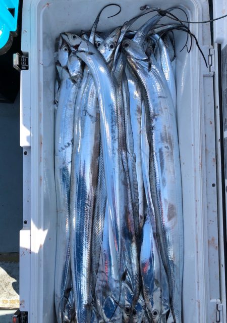 フィッシング キッタカ 釣果