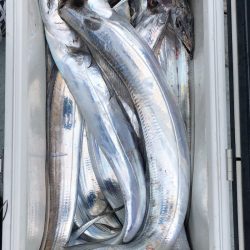 フィッシング キッタカ 釣果