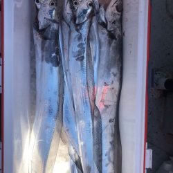 フィッシング キッタカ 釣果