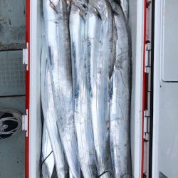 フィッシング キッタカ 釣果