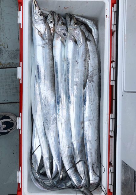 フィッシング キッタカ 釣果