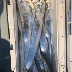 フィッシング キッタカ 釣果