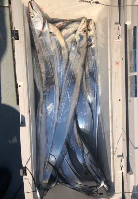 フィッシング キッタカ 釣果