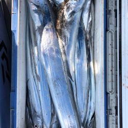 フィッシング キッタカ 釣果