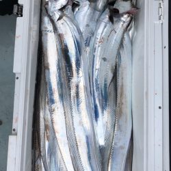 フィッシング キッタカ 釣果