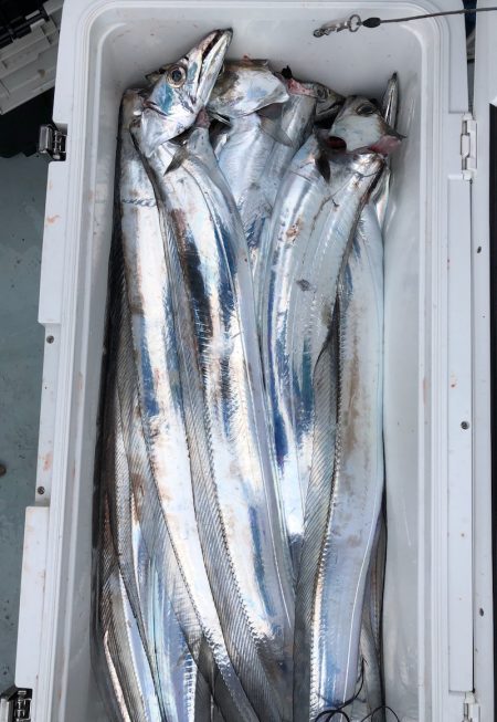 フィッシング キッタカ 釣果