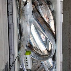 フィッシング キッタカ 釣果