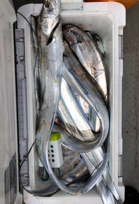 フィッシング キッタカ 釣果