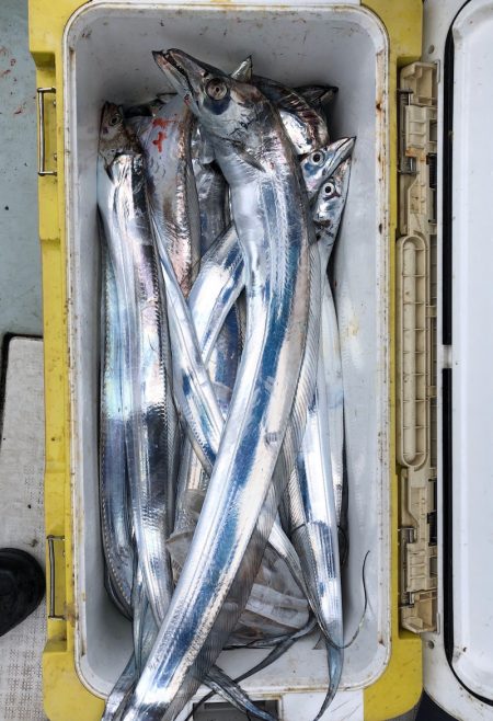 フィッシング キッタカ 釣果