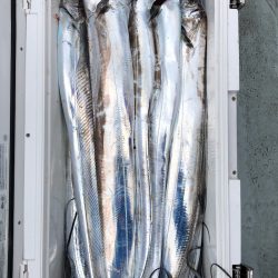 フィッシング キッタカ 釣果