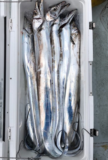 フィッシング キッタカ 釣果