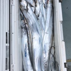 フィッシング キッタカ 釣果