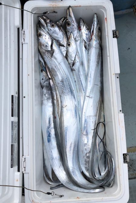 フィッシング キッタカ 釣果