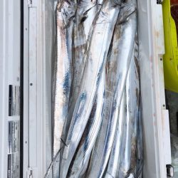 フィッシング キッタカ 釣果