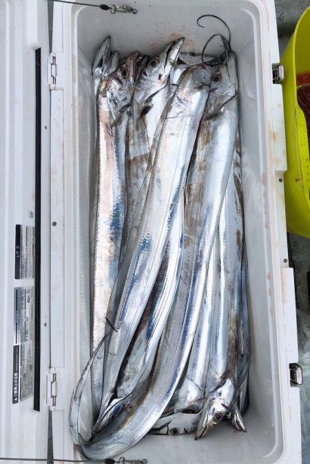 フィッシング キッタカ 釣果