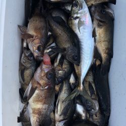 フィッシング キッタカ 釣果