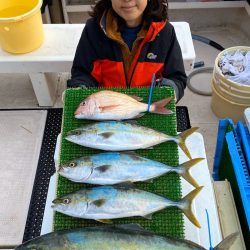 釣人家 釣果