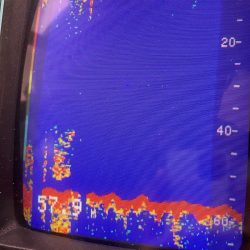 あみや渡船 JIGBOY 釣果