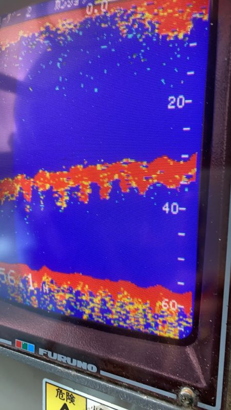 あみや渡船 JIGBOY 釣果