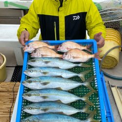 釣人家 釣果