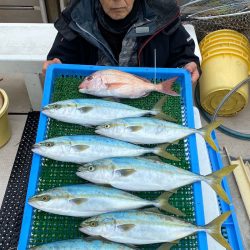 釣人家 釣果